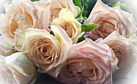 Séjour Romantique au chateau de la Vérie